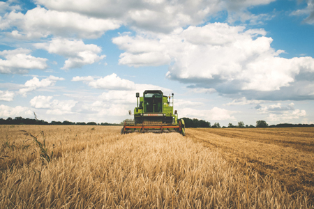 Calculation of the economic values of agricultural crops associated with the RDP for the Valencian Community, 2014-2020