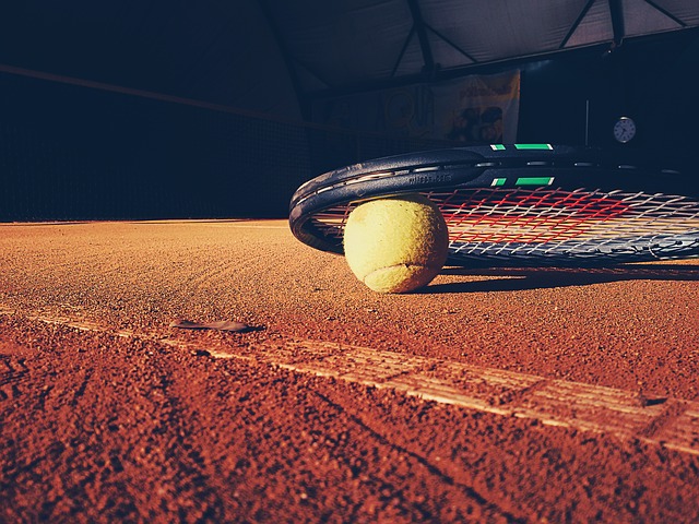 Estimación del impacto económico en la Comunitat Valenciana del evento deportivo Copa Davis Estimación del impacto económico en la Comunitat Valenciana del evento deportivo Copa Davis