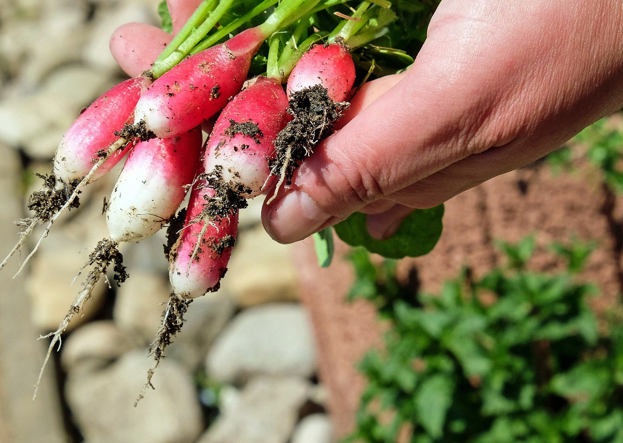 Positioning of quality agri-food products in Valencia