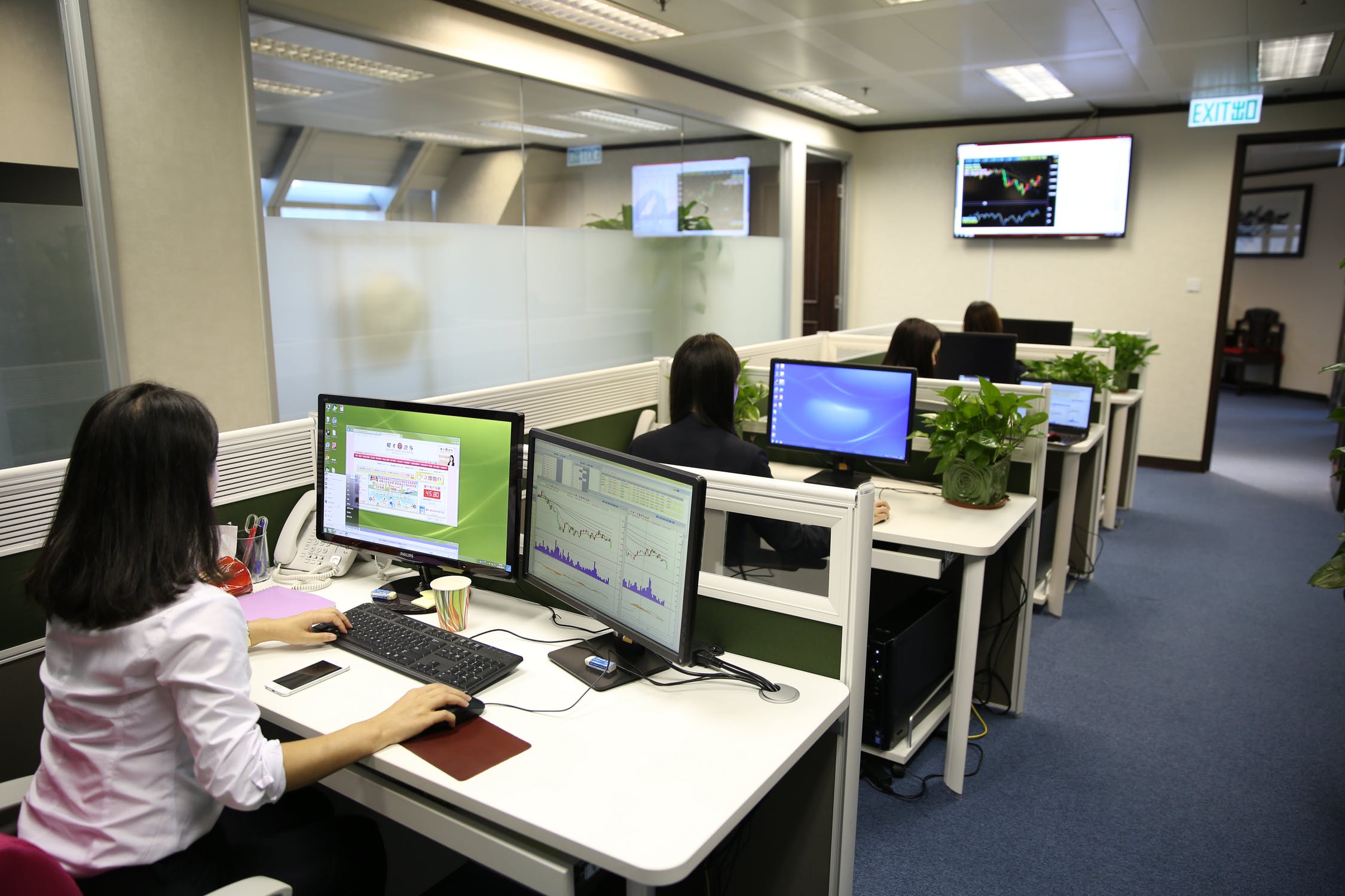 Formación y vida laboral en España