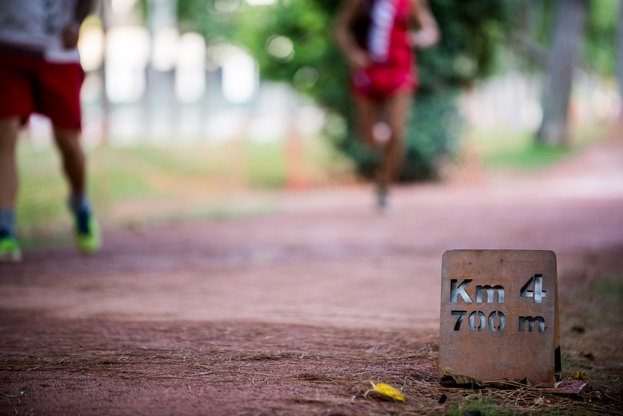 Medición del uso y valoración del Circuit 5K de València - 2019