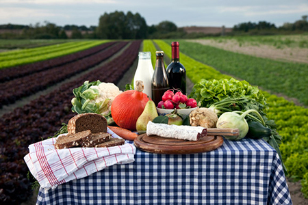 2019_observatoriosectoragro-cajamar