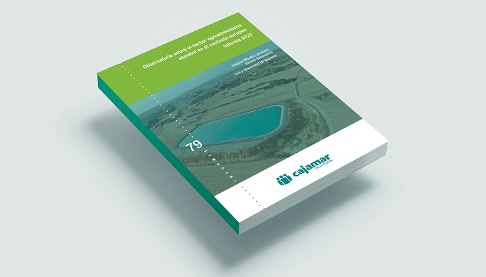 Imagen portada informe 2022web