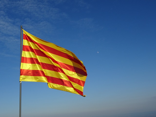 Estudio del impacto del sistema de financiación autonómico en la deuda pública de Catalunya 