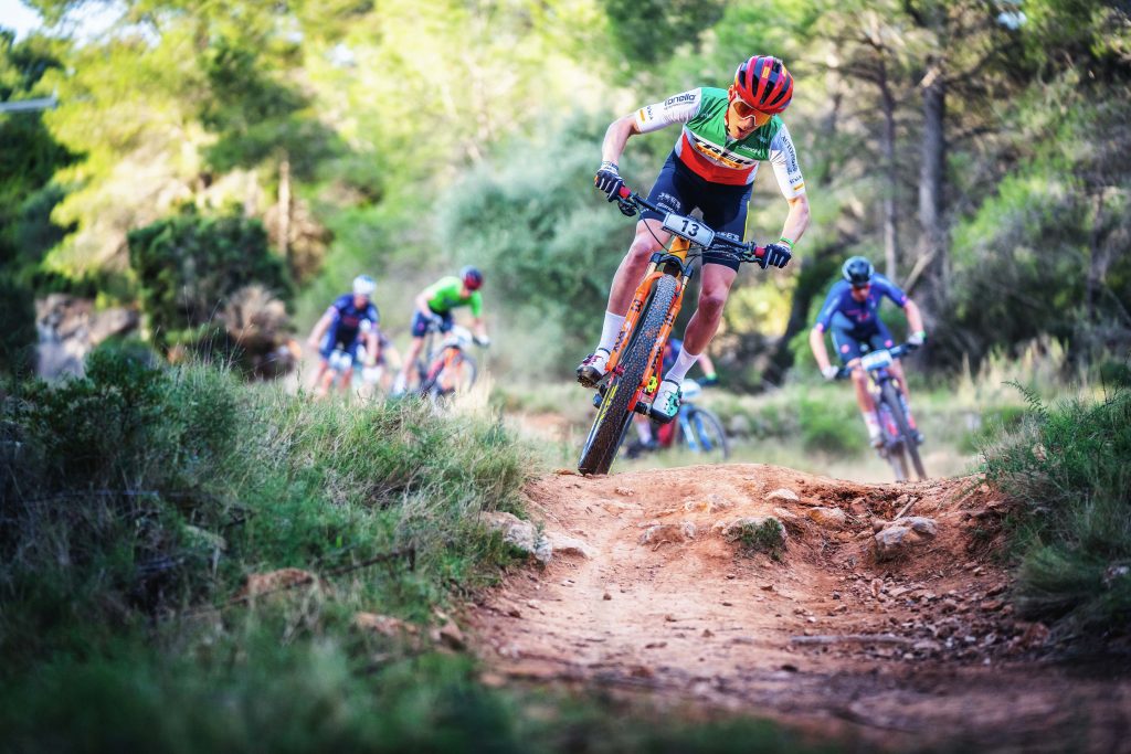 Impact of sporting events in the Valencian Region Impact of sporting events in the Valencian Region